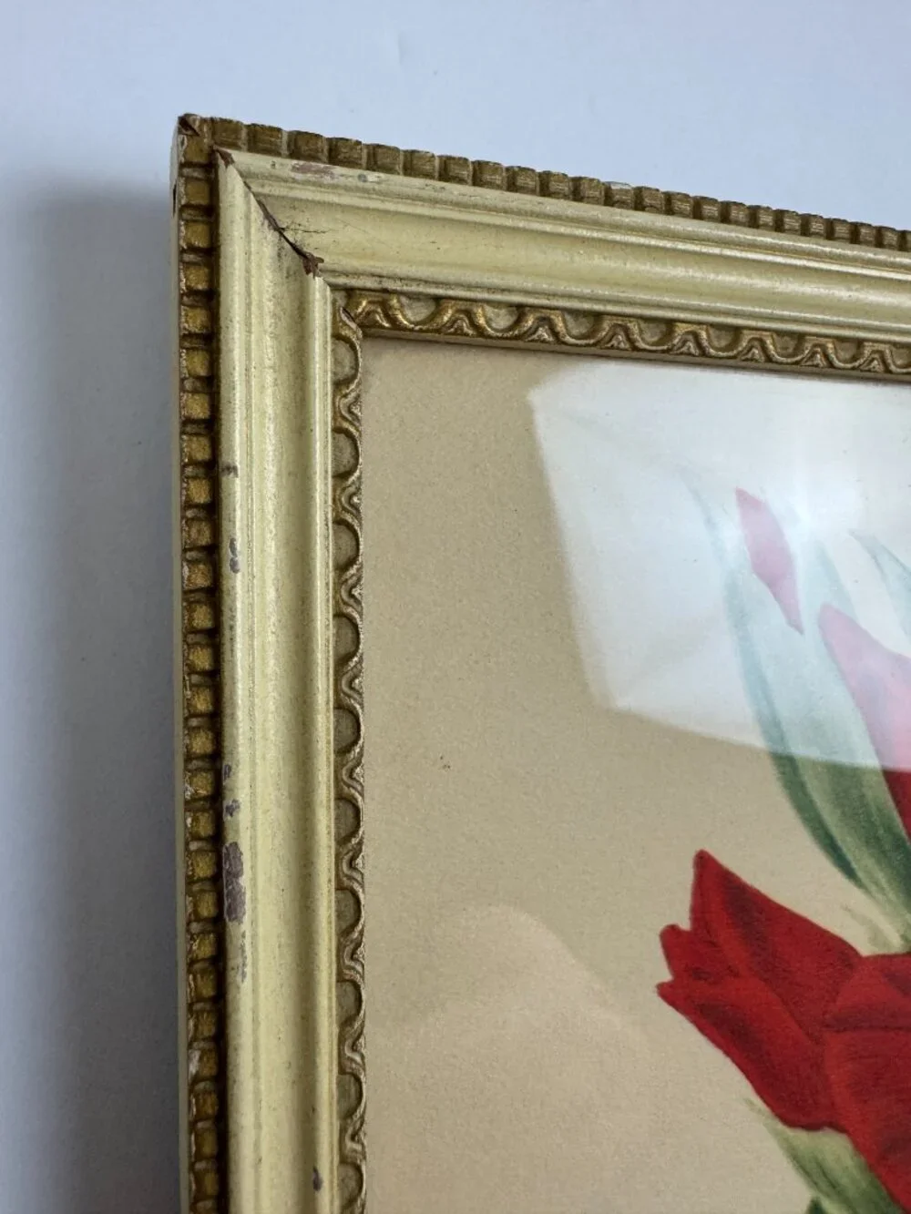 Vintage Joseph Paxton Gladiolus Gandiensis Flower Framed Botanical Watercolour